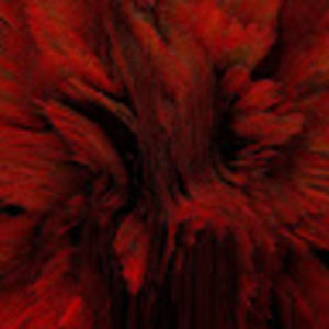 Meet your Posher, Dominic